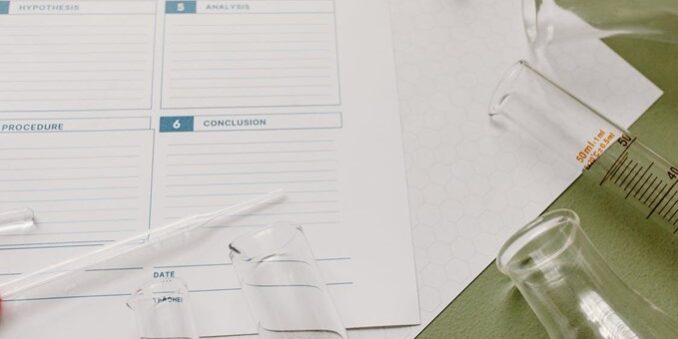 Paper Patient Registry Document Sheet to prevent common registry mistakes